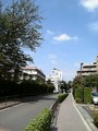 aozora