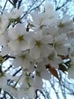09-04-07_18-10.jpg