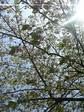 09-04-11_13-49.jpg