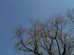 IMG_6807.jpg
